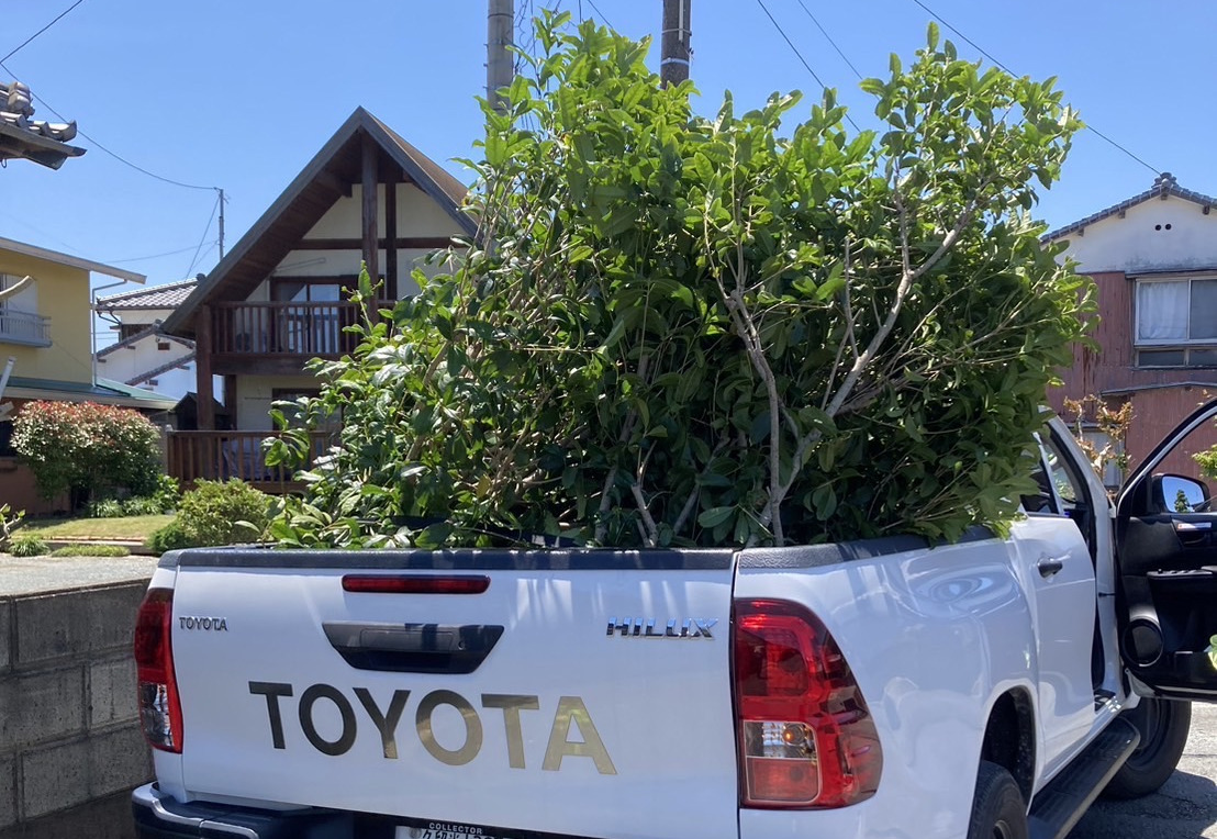 草刈り後のゴミを積んでいる車